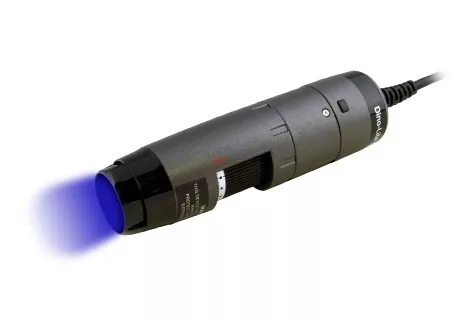 Connect Wired special light