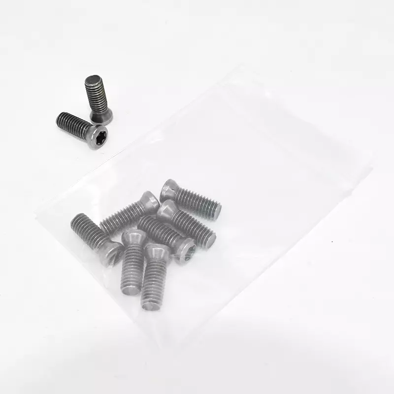 Torx Schraube M5x15mm