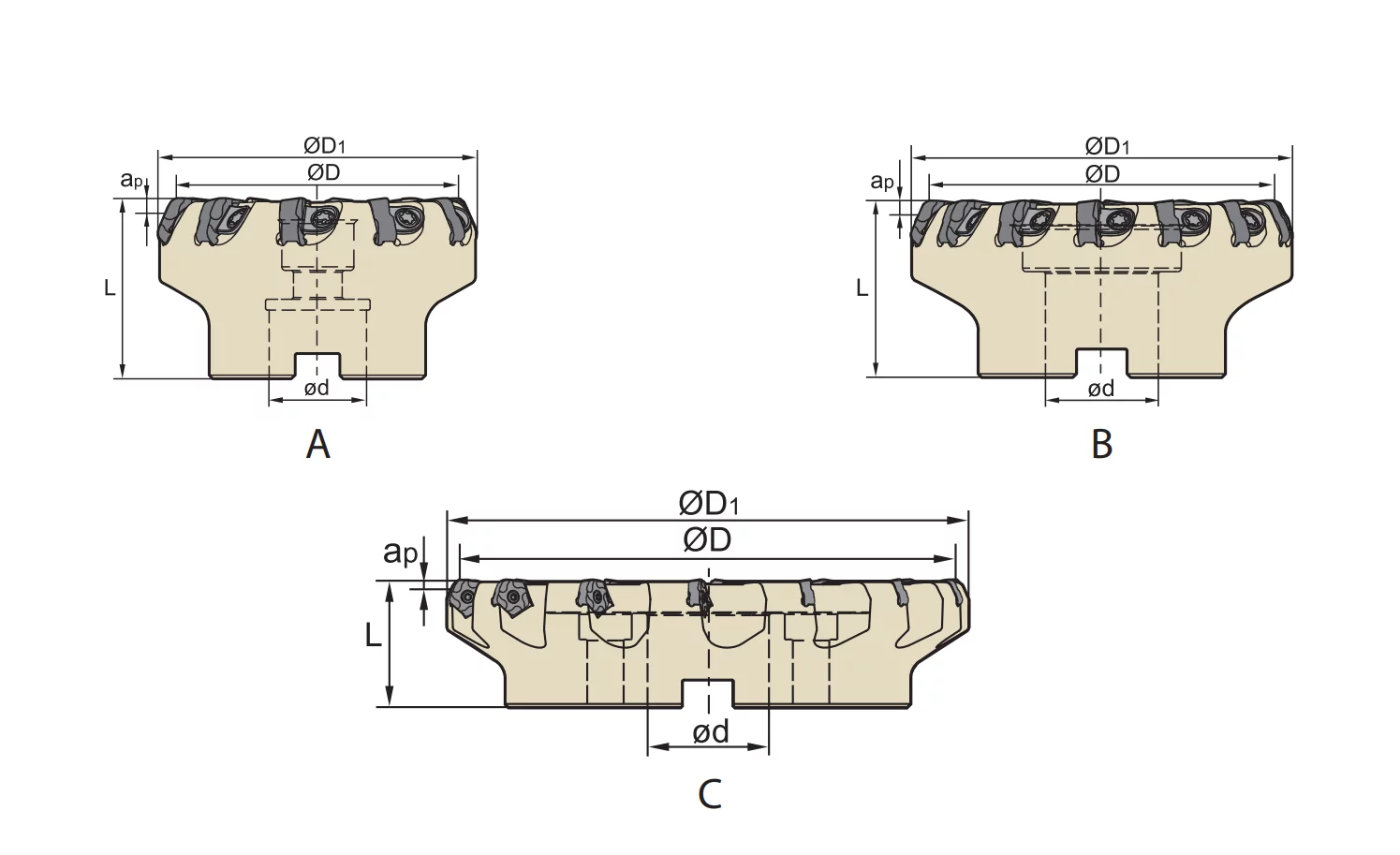 Planfräser FMD02 Kr: 67° 
