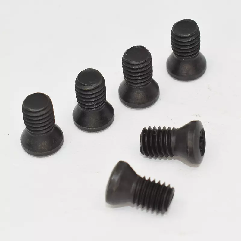 Torx Schraube M5x10mm