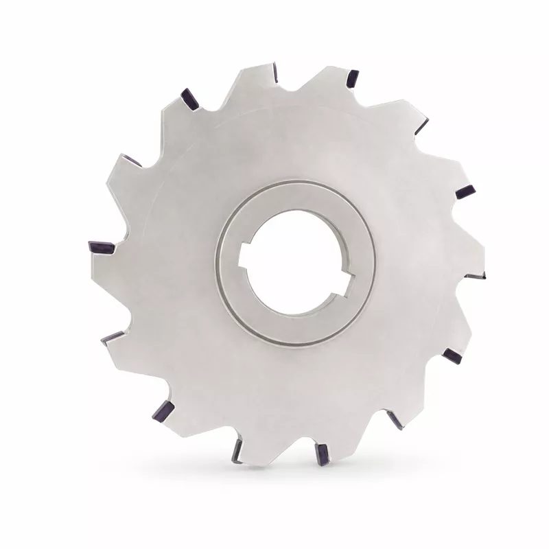 Scheibenfräser Ø 160 mm mit 14 Zähnen, CWN=12, K=40, MP08 von ZCC Cutting Tools