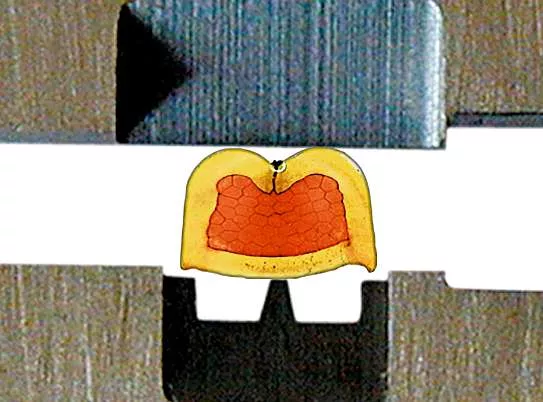 Crimphöhenmesser