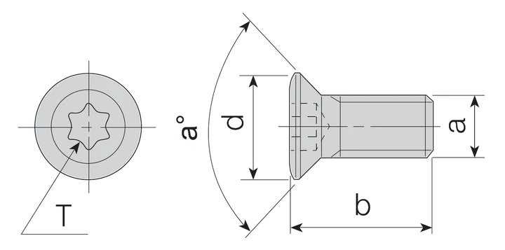 AKKO-Torx-Schraube für S-System
